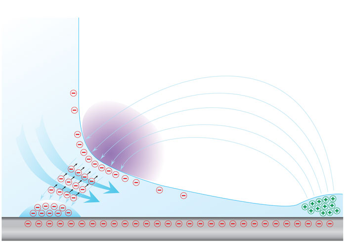 Professor Gharib Research Illustration