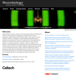 Neurobiology at Caltech